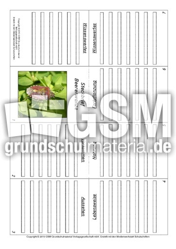 Faltbuch-Beerenwanze.pdf